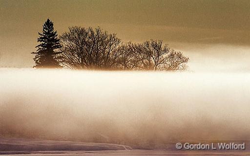 Trees Above Fog_33597.jpg - Photographed along the Rideau Canal Waterway at Smiths Falls, Ontario, Canada.